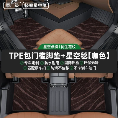 Passat Camry Accord a, Universal Foot Pad - double-layer-coffee-color-starry-sky-blanket-tpe-bag-threshold-foot-mat