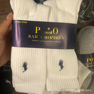 �������Qpolo�m��6�p�b�̄���ʿ�\�����m���и�Ͳë�����m���l
