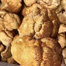 新货特级东北猴头菇干食用菌干货无硫批发猴头菌500g煲汤原料食材
