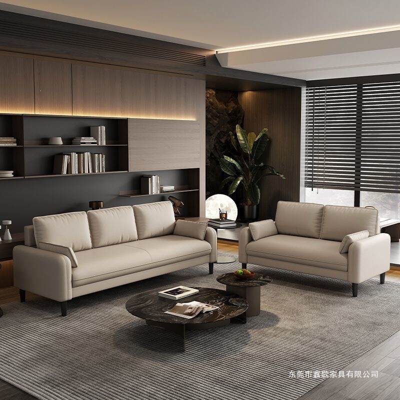 Sofa for rest area, clothing store, reception, rental house, homestay, light luxury sofa, small apartment, two-seater, three-seater sofa Sofa for rest area, clothing store, reception, rental house, homestay, light luxury sofa, small apartment, two-seater, three-seater sofa