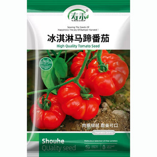 �R����ѷN�ӂ��Ҍ������t���N����Ʒ�N�߲�����������ʲô