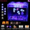 Chiyue buy two get one road damage + transparent tank + two lanterns + two packs of sea salt + food + drops