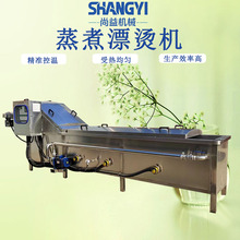 山野菜漂烫杀青流水线设备全自动蔬菜预煮机蒲公英杀青冷却流水线