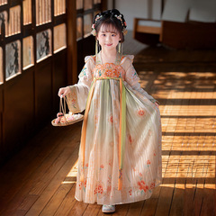 Girls Hanfu 2024 Spring and Autumn New Children's Costume Baby Embroidered Dress Chinese Style Ruskirt Tang Suit Wholesale