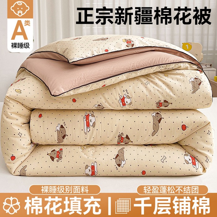 Class a Raw Cotton Cartoon Xinjiang Cotton Quilt Core Student Dormitory Spring & Fall Thin Quilt Thickeneded Warm Quilt Delivery
