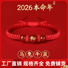 2026�R�걾����t�K����R��ţ��ʮ����Ф��Ů�������K���l