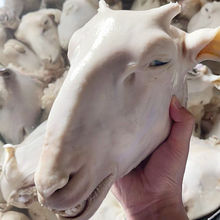 �������r���^��ֻ�^��Ƥ������r�����^������Ƥ���^���r���^��