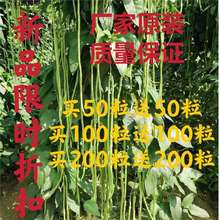 ժ߮aNļһct߲˷NӴﲥNr҉