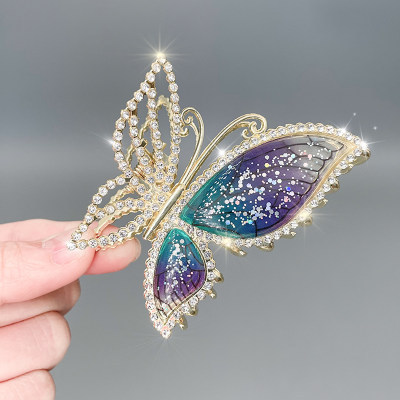 호박나비 미디엄