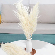 Դ�^�S�Ұ�ɫϵ��INS�L�ɻ��������l���R�d��ɫС�JȔ����DIY����