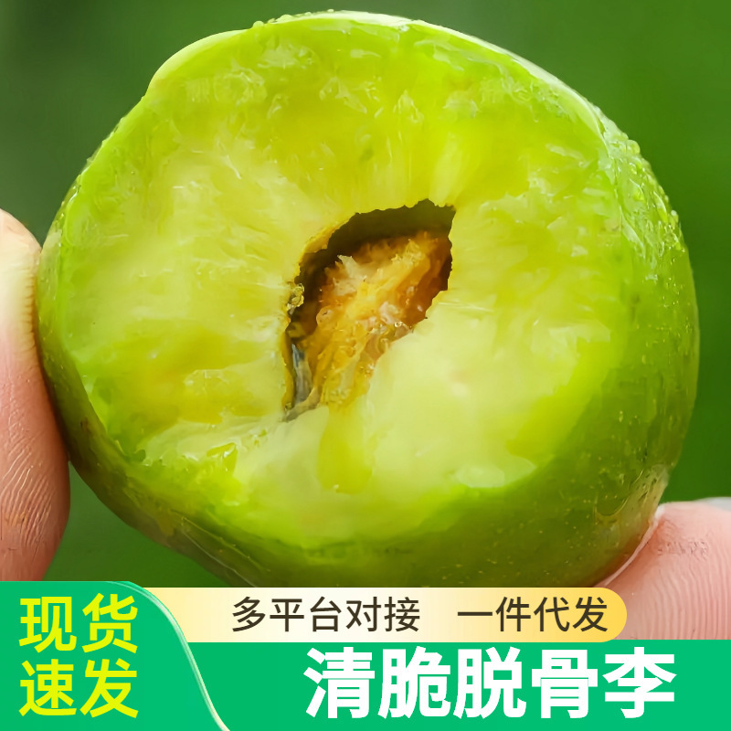 Sichuan Green Crispy Plums, Boneless Plums, Crisp Sweet Plums, Farm-Grown Hollow Plums, Fresh Seasonal Fruits Sichuan Green Crispy Plums, Boneless Plums, Crisp Sweet Plums, Farm-Grown Hollow Plums, Fresh Seasonal Fruits