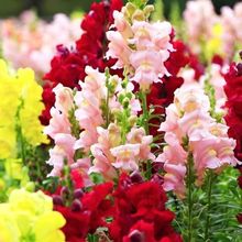 MԻNӽ~ݻܷNļ׷N׻̏SֱN