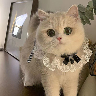 �����b���K5ɫ��ˮ�팣��؈��͹����OӋ�ĺ�Ȥζ�Կɐ۹��տ�