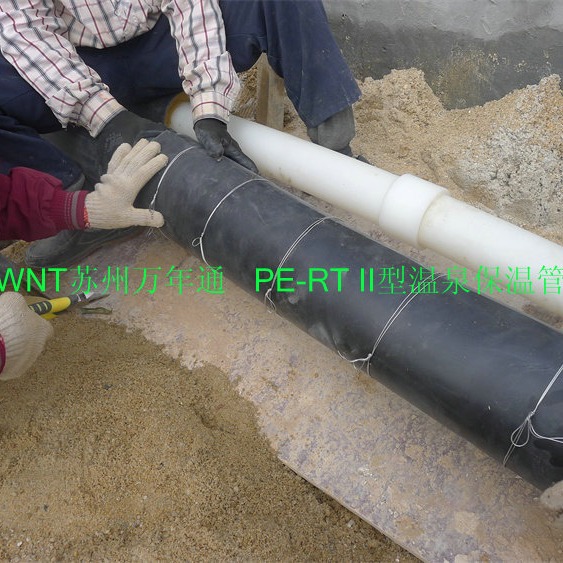 广东从化PE-RT II温泉保温管材---PERT 2代管材特点