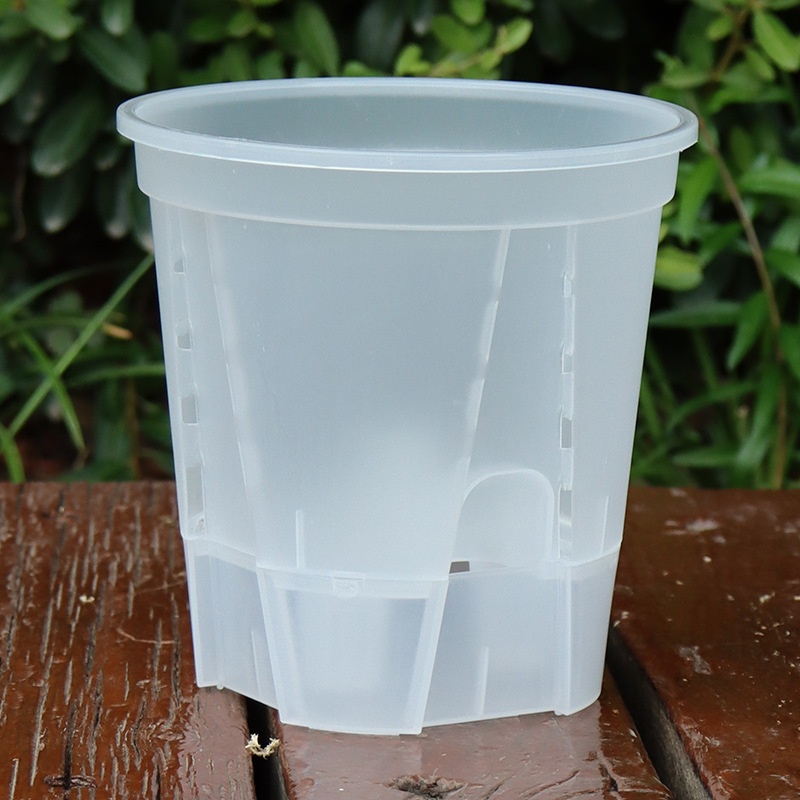 新商品の貯水透明青山盆は吸水しています。|undefined