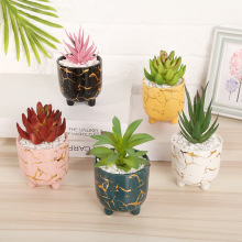 �羳�W��ins�L����Gֲ�������F��ֲ�q�Gɫ��k���ҿ͏d����[��