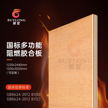 Sҹ̙zy B1ȼNľƤӰ չyȼzϰ