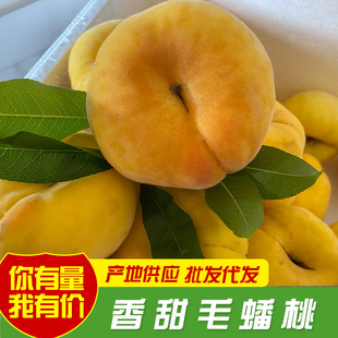 Теперь поднимая позитивную подарочную подарочную коробку с фруктами персика Yimeng