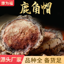 ¹ñ ¹бPLɽ¹̥P ]ă