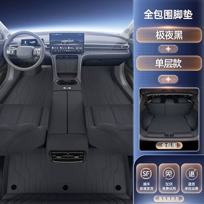 for 26 Models of Aion: Modelə uyğun ayaqaltı - premium-selection-single-layer-floor-mats-full-trunk-coverage-available-in-four-colors