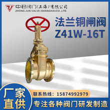 ���m�~�l�y�Ӻ����~�l�y�ԁ�ˮˮ�ܱ�ǰ�~�l�y Z41W-16T�l�y