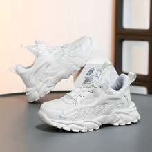 2026�¿�ͯЬ��ͯ�W��͸��������m��ĥ�\��Ь�����p�W���m���eЬ