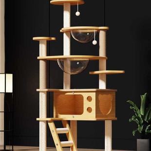 Cat Climbing Frame, Cat Nest, Cat Tree, Integrated Cat Frame, Large Scratching Post, Tongtian Column, Jumping Platform, Space Capsule, Cat Supplies