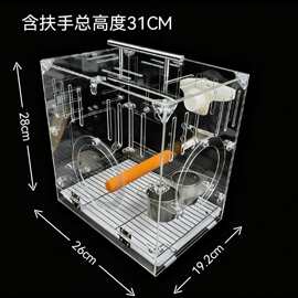 多功能便携展示笼 鹦鹉笼鸟用移动餐厅防撒防溅防漏粮外挂对接笼