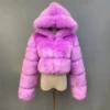 Taro