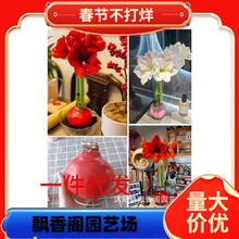 ��피t�N��Ϟ���M���ذ�N�򎧻����҃ȑ���ֲ�������ͶY���ܷ�Ϟ