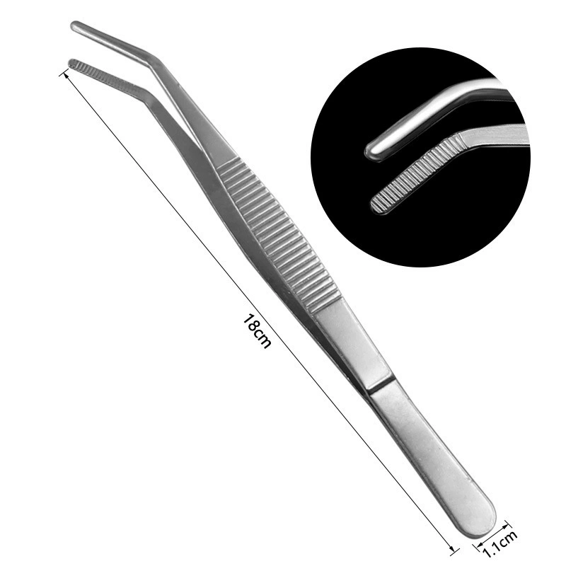 Stainless steel tweezers, thickened tweezers with round head, toothed tweezers, straight elbow clamp, garden landscape clamp