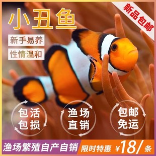 С���~��Ī��ˮ�~�^�p�~������~�˹�����С���~ѩӡ�ĺںڱ�С��