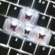 Cross-border original drop glue transparent butterfly key cap resin personalized cross shaft mechanical keyboard key cap single
