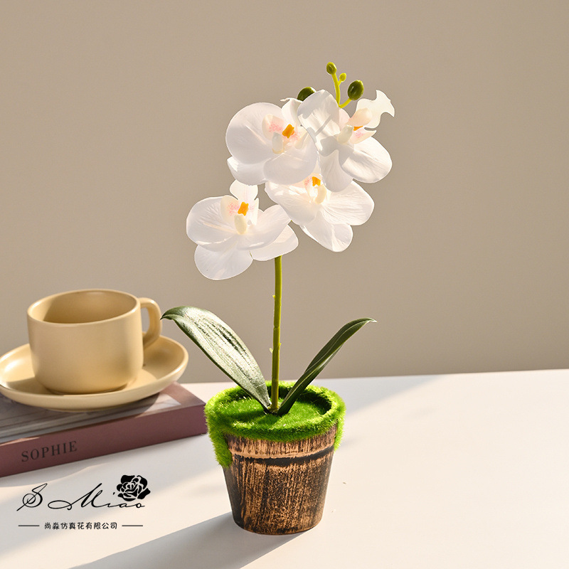 Flor falsa sensación de orquídea mariposa pequeña flor artificial bonsai maceta decoración del hogar fotografía verde decoración de boda flores simuladas