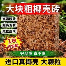 �M��Ҭ����Ҭ���u�m��Ó�}Ҭ�u�I�B�������mʯ��ֲ��͸���B��