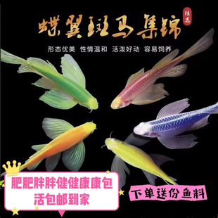 LβС͟ᎧˮˮȺ߲ʰR^p~S؛Դl