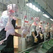 �����S��ֱ�N���Z�ך��O�� ���Z��Ϟ ��Ϟ�� ��Ϟ��ˮ��