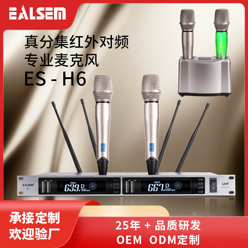 Ealsem True Diversity Wireless Microphone with Built-In Charging Stand Microphone One-To-Two Handheld Infrared Frequency U-Band