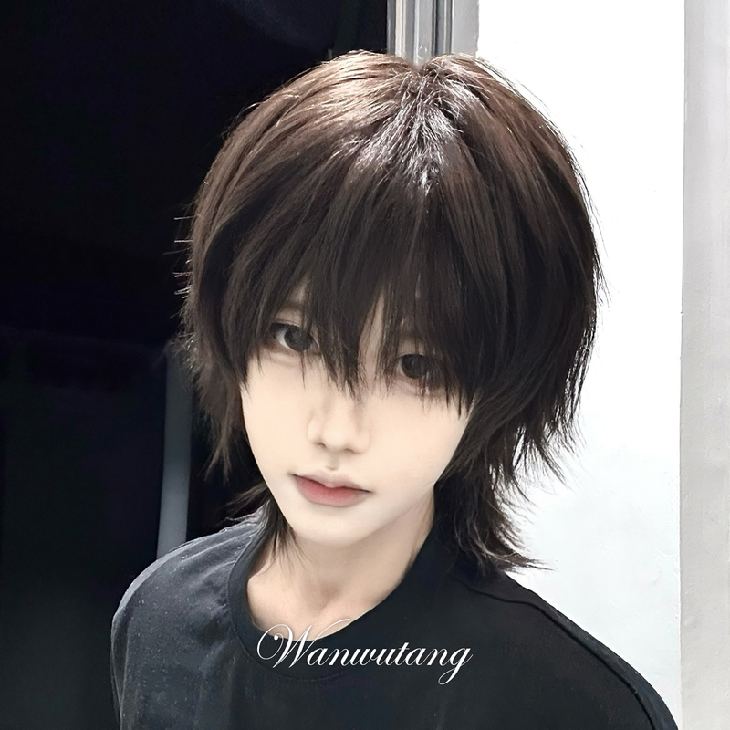 Wolf Tail Wig for Men, Japanese Style Short Straight Hair with Layered Mullet Cut, Unisex Versatile Realistic Full Wig Wolf Tail Wig for Men, Japanese Style Short Straight Hair with Layered Mullet Cut, Unisex Versatile Realistic Full Wig