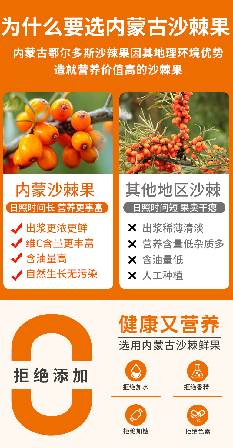 Pure Sea Buckthorn Juice Original Fresh Pressed Sour Wellness Drink 500ml key features