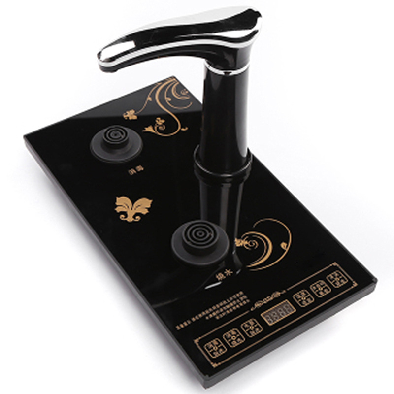 20*37cm 검정색 완전 자동 호스트