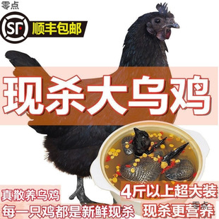��S���]̫��ɽɢ�B���u����u�����u�u���P���P�F��һ�����]�羳