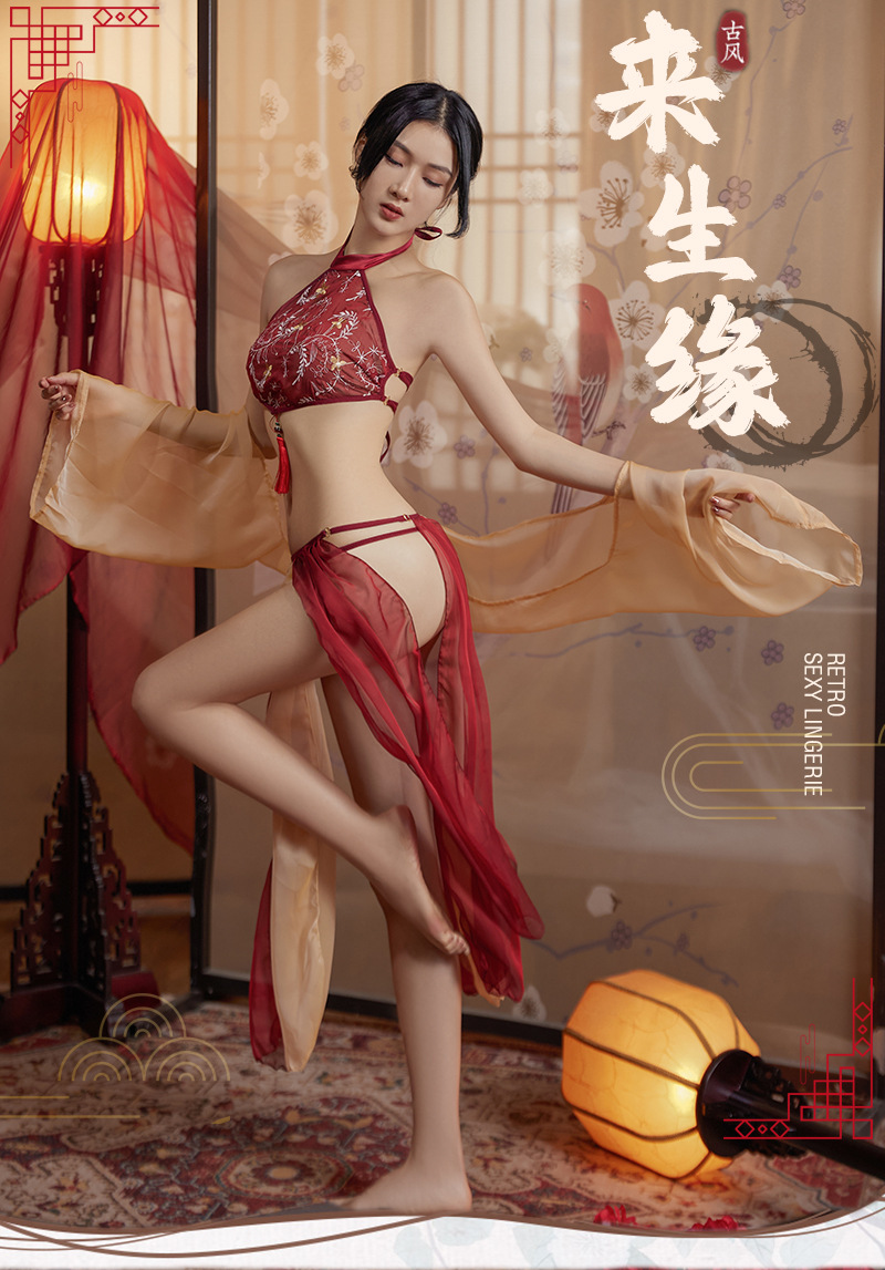 Hanfu-Inspired Palace Costume Set with Bellyband, Shawl, Gauze Skirt and Thong, Plus Size — detail image 2