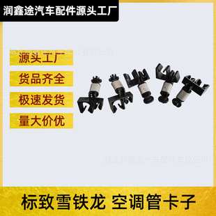 1608682680���{��·֧�ΊA�m�Ø���307 3008 ѩ�F��C4 DS5