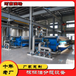 国瑞0.25-500吨/天棕榈油精炼分提设备 精炼棕榈油机器油色清亮
