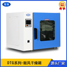 实验室小型电热恒温鼓风干燥箱 笃特DTG-9013A不锈钢热风循环烘箱