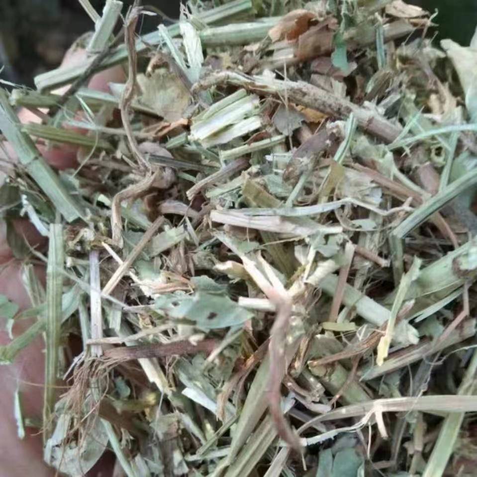 微信图片_20250714083644