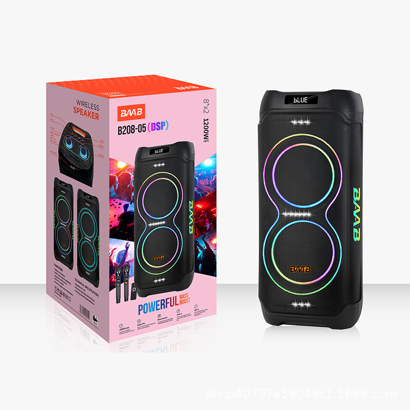 Baab New Product 2*8inch Wireless Microphone Karaoke Speaker Trolley Box Bluetooth Dj Outdoor Party Speaker