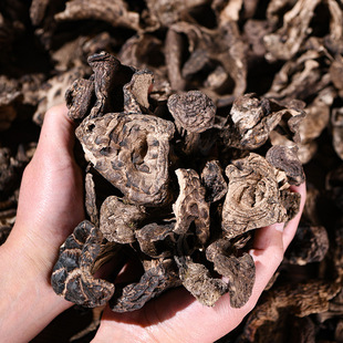 �a��؛Դ���ڻ��ƾ��Ƶ��Ҝ�ʳ�ø�؛�y؛���ƾ�֧�ִ��l�K����؛