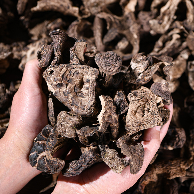 云南批发黑虎掌菌源头直供适合酒店煲汤食用干货大朵去泥脚1斤1袋